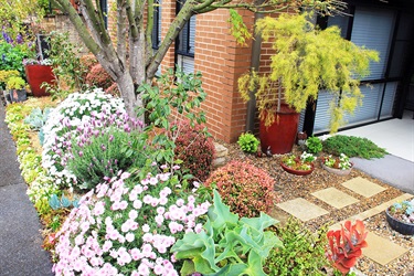 Beautiful-gardens-from-small-to-large-are-seen-throughout-the-Sydney-Hills-Garden-Competition.jpg