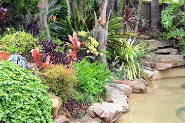 garden path and stairs