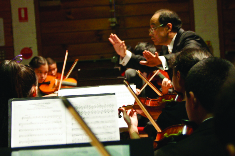 the-sydney-hills-youth-orchestra.jpg