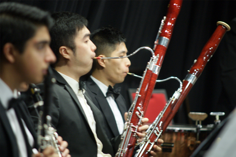 Western-Sydney-Symphony-Orchestra.jpg