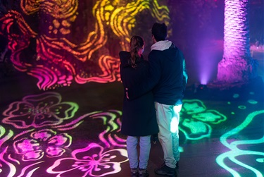 Couple enjoying light display across the ground