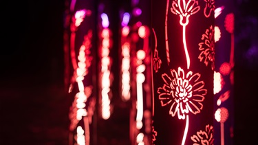 Light Installation with flower cutouts