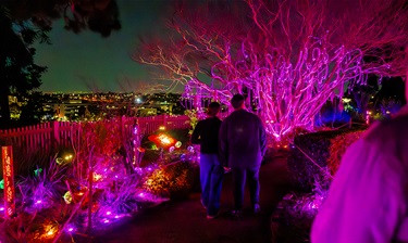 Magical Gardens