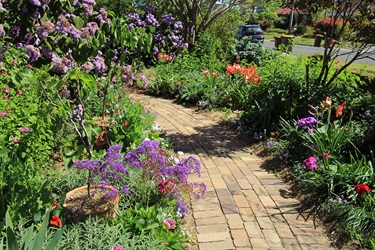 Garden-Competition-8.jpg
