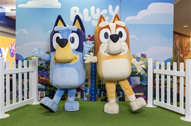 Bluey & Bingo Live Interactive Event