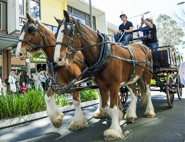 OBF Parade - Horse Cart
